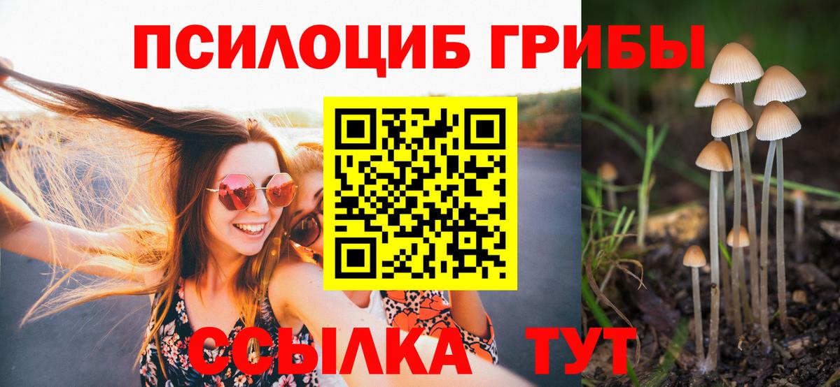 Галлюциногенные грибы Psilocybine cubensis  Псилоцибиновые грибы MAGIC MUSHROOMS  Вход с VPN  Сертолово 