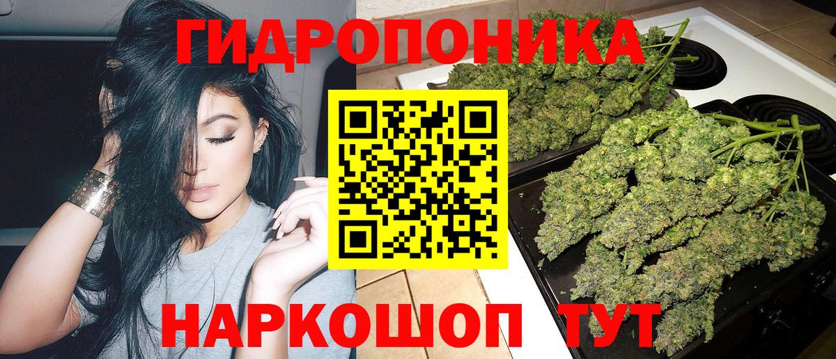 Канабис план Сертолово